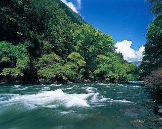 《刺客信条：影》新截图 PC版国区售价348元