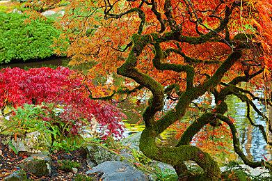 模拟经营策略游戏《萌宠大赢家》已于科隆亮相